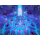 Switch Cult of the Lamb Definitive Edition - 1525066 - zdjęcie 3